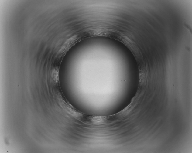 X0000100390142200806131000