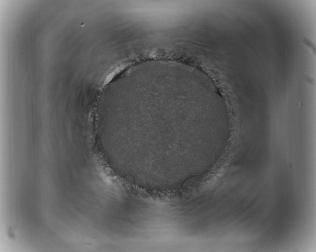 X0000100390144200806131000