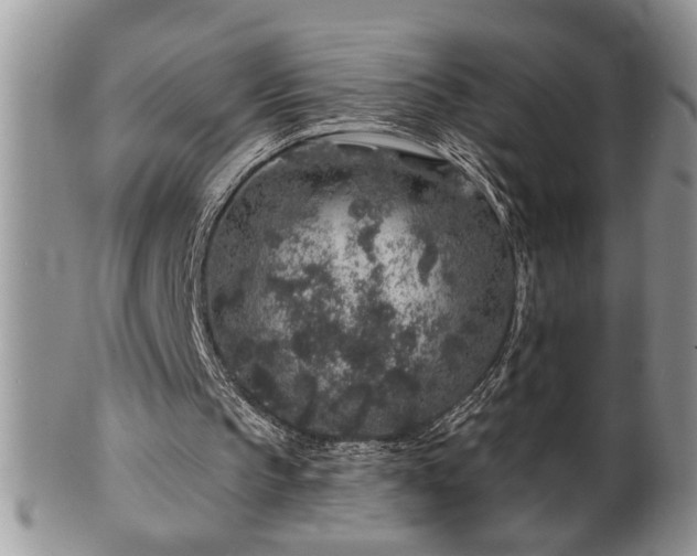 X0000100390145200806130959