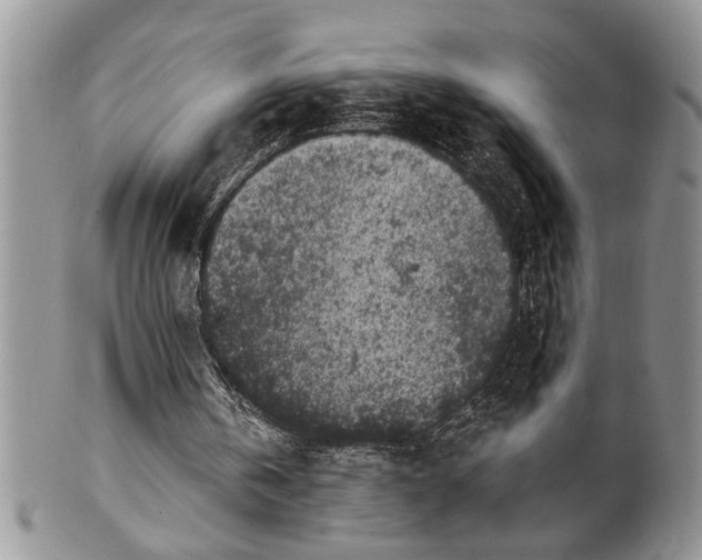 X0000100390146200806130959