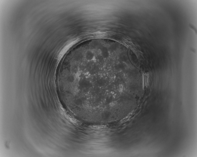 X0000100390147200806130959