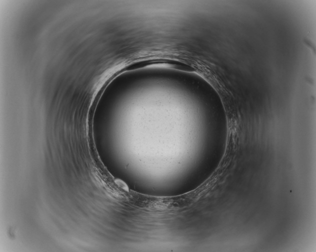 X0000100390148200806130959