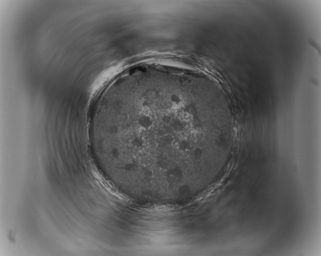 X0000100390149200806130959