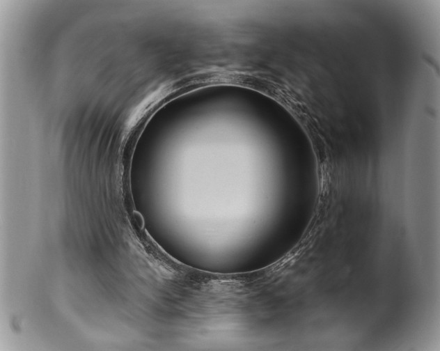 X0000100390150200806130959