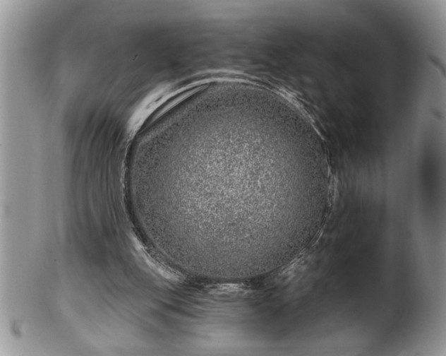 X0000100390151200806130959