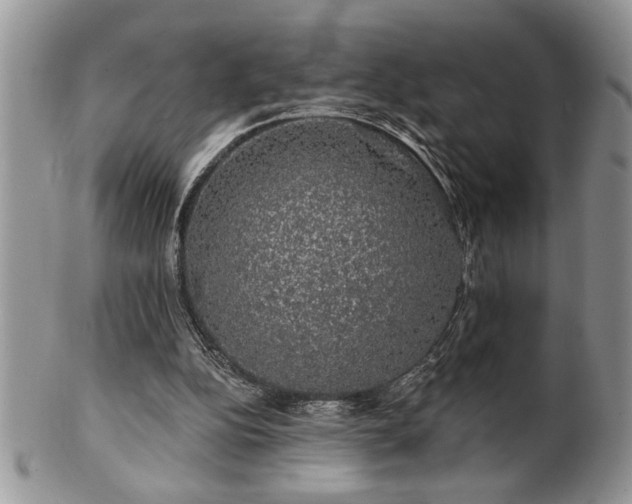 X0000100390152200806130959