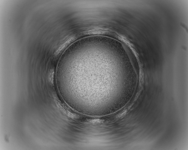 X0000100390153200806130959