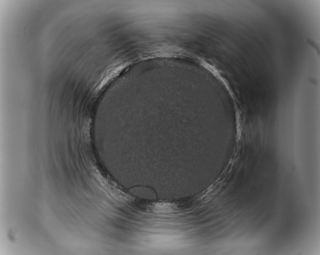 X0000100390154200806130959