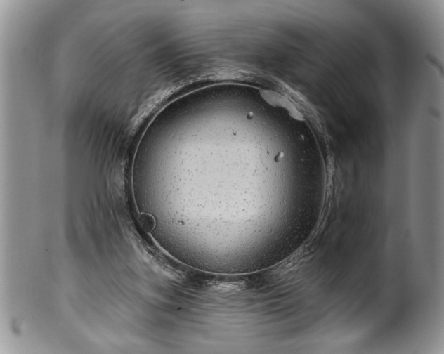 X0000100390155200806130959