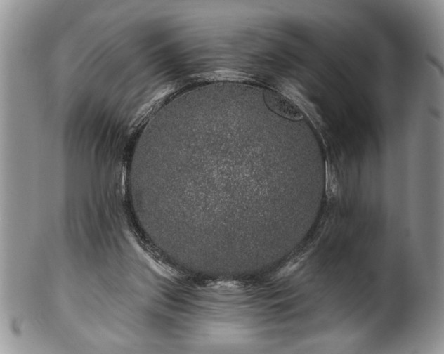 X0000100390157200806130959