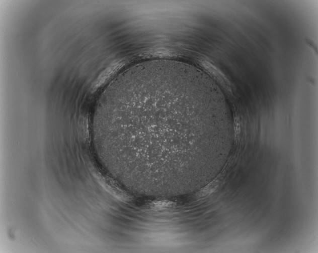 X0000100390158200806130959