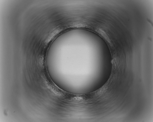 X0000100390159200806130959