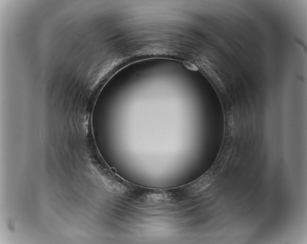 X0000100390160200806130959