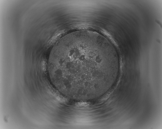 X0000100390161200806130959