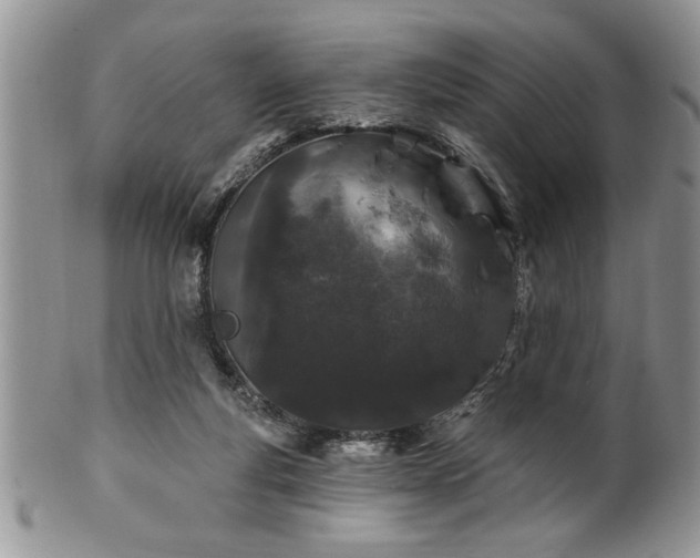 X0000100390163200806131000