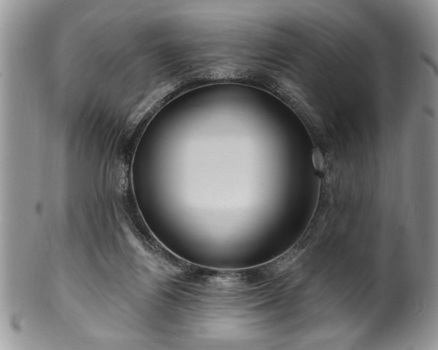 X0000100390164200806131000