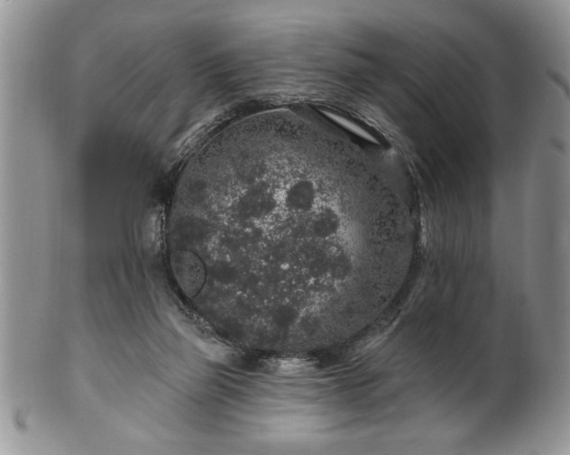 X0000100390165200806131000