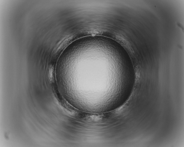 X0000100390166200806131000