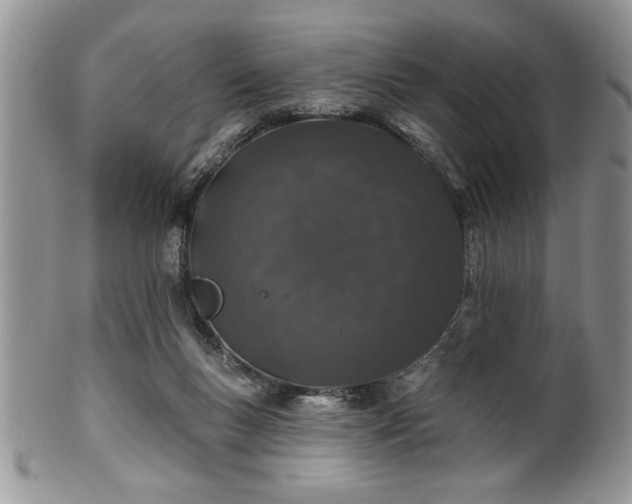 X0000100390167200806131000