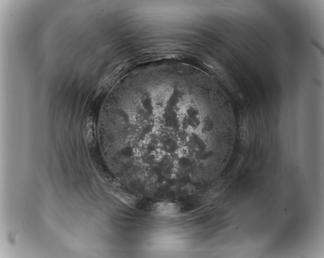 X0000100390169200806131000