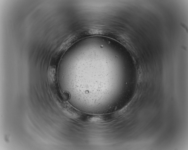 X0000100390171200806131000