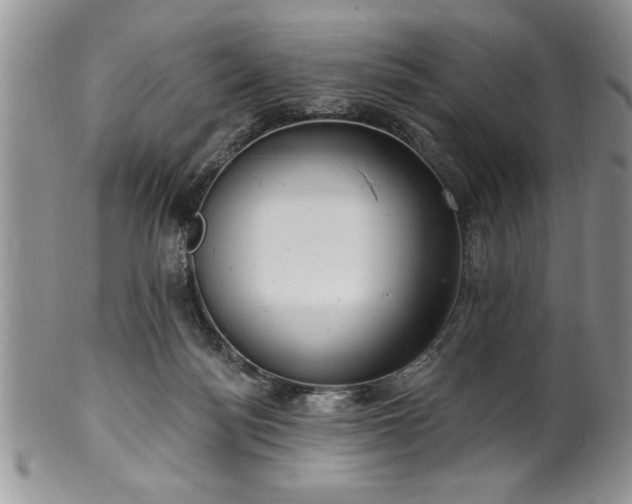 X0000100390172200806131000