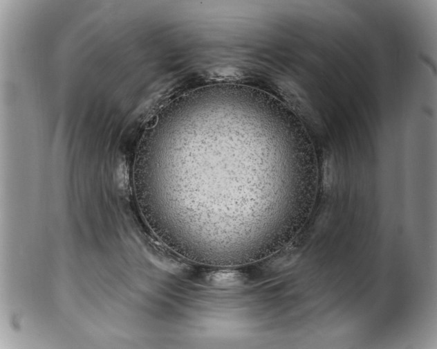 X0000100390173200806131000