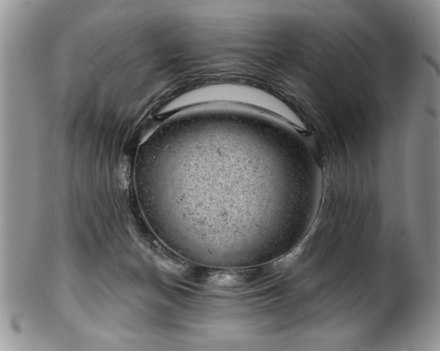 X0000100390174200806131000