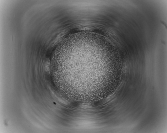 X0000100390175200806131000