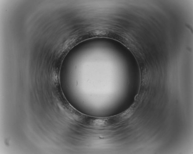 X0000100390176200806131000