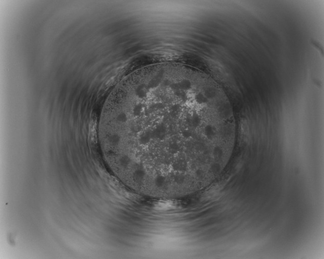 X0000100390177200806131000