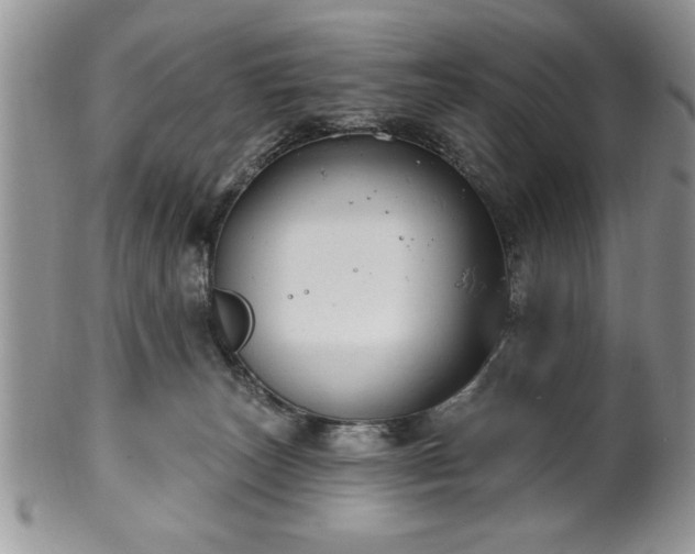 X0000100390179200806131000