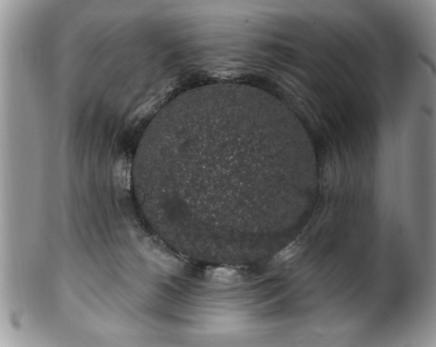 X0000100390180200806131000