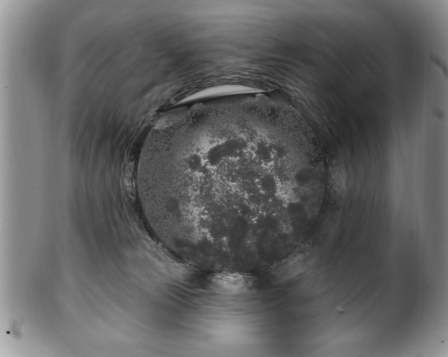 X0000100390181200806131000