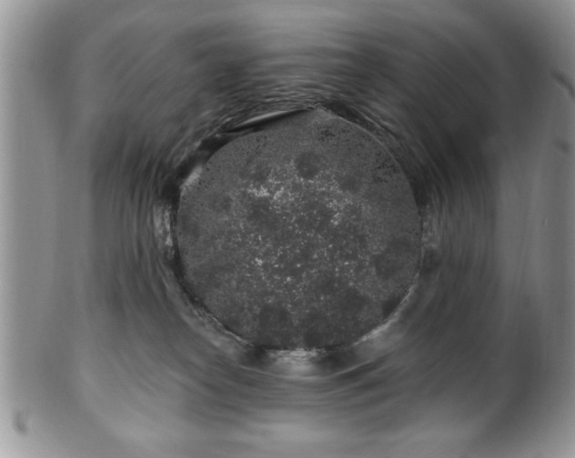 X0000100390182200806131000