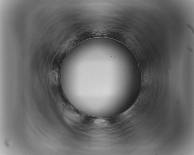 X0000100390183200806131000