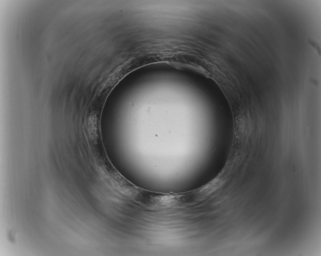 X0000100390184200806131000