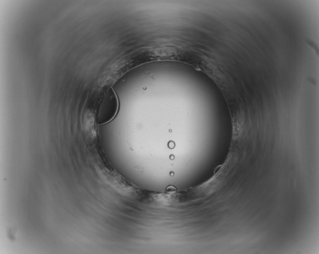 X0000100390187200806131000