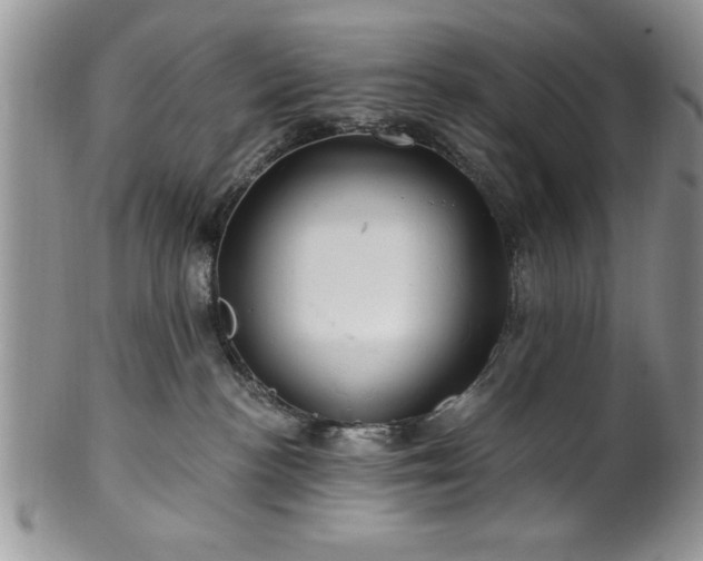 X0000100390188200806131000