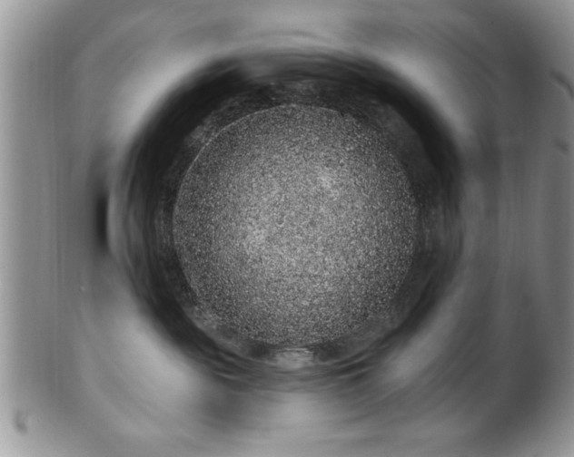 X0000100390189200806131000