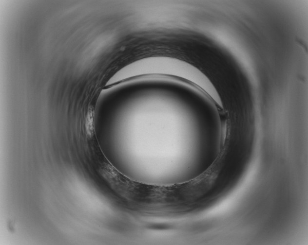 X0000100390190200806131000