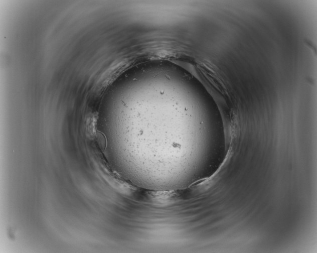 X0000100390191200806131000