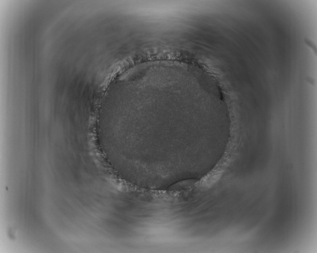 X0000100390192200806131000