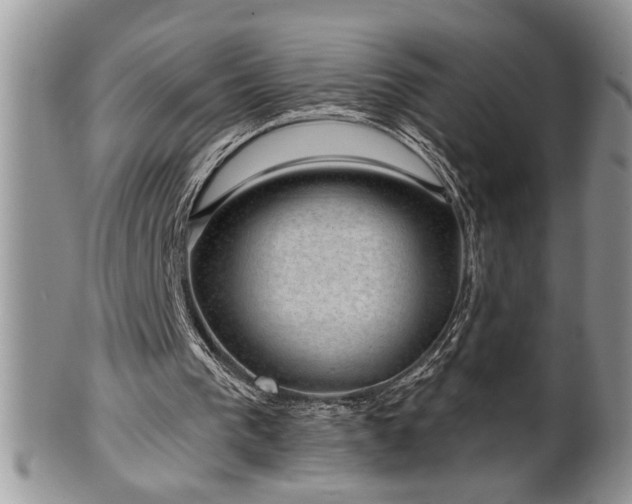 X0000100390193200806130959