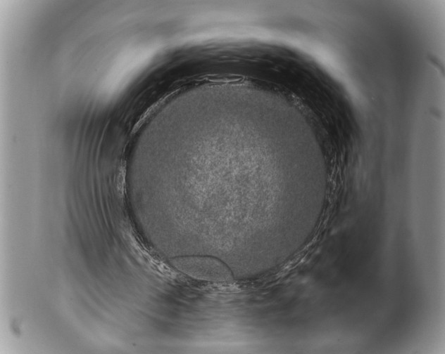 X0000100390194200806130959