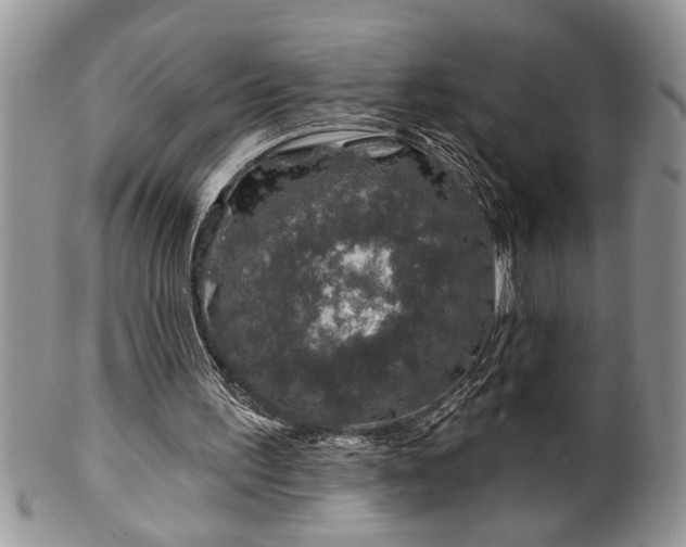 X0000100390195200806130959