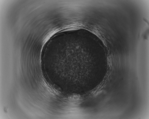 X0000100390196200806130959