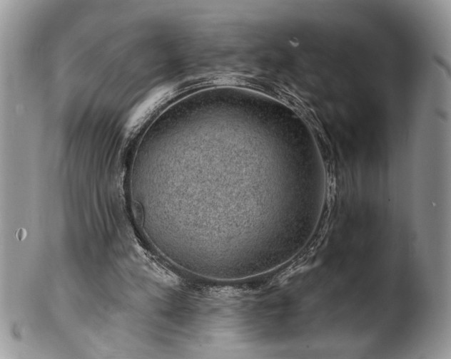 X0000100390197200806130959