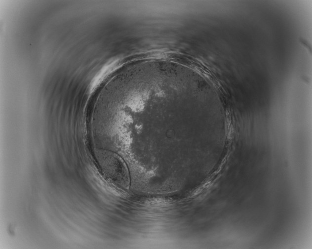 X0000100390198200806130959