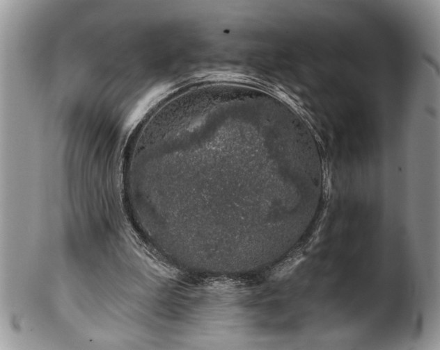 X0000100390199200806130959